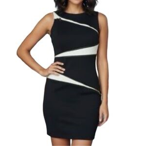 Adrienne Vittadini Navy & White Colorblock Sheath Dress - Gold Zippers - Size 4